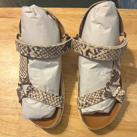 Band of Gypsies Newport Beige Snake Print Leather size 6  NIB MSRP $90 - Picture 1 of 4